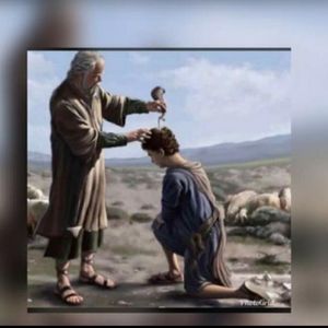 Meet your Posher, Thompson